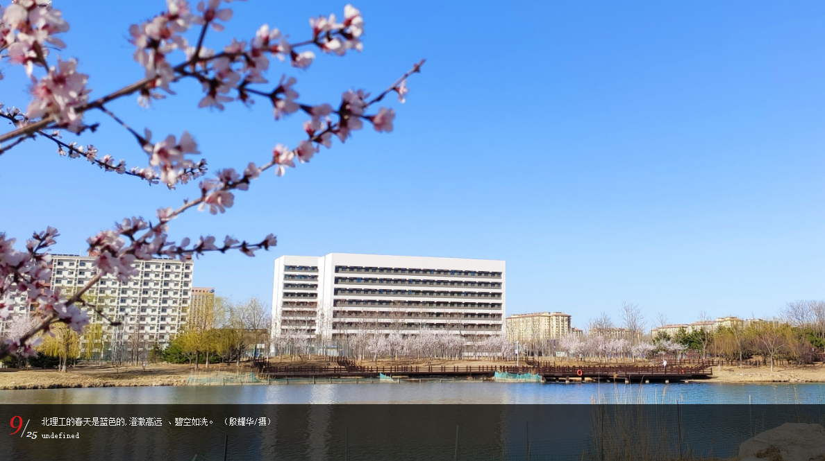 北京理工大学与英国瑞丁大学中外合作办学项目