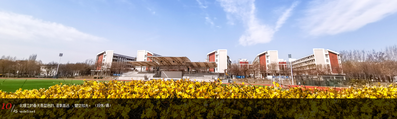 北京理工大学与英国瑞丁大学中外合作办学项目