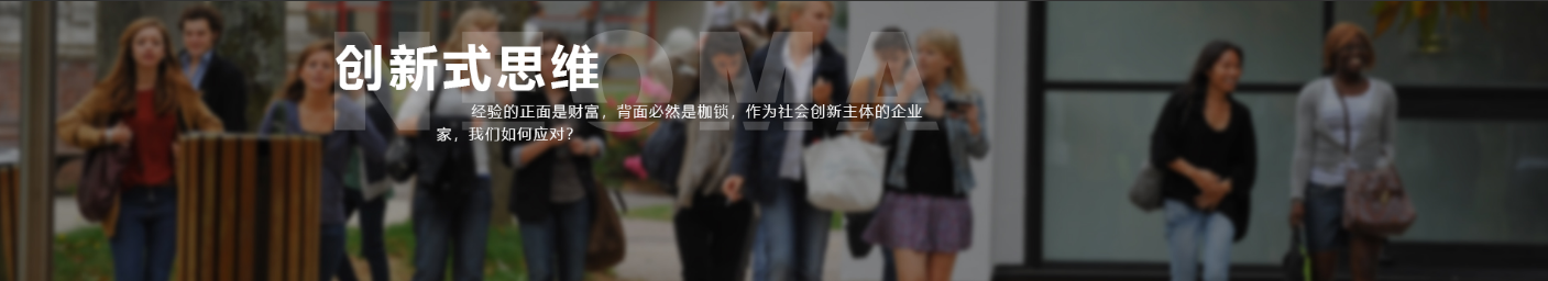对外经济贸易大学—法国诺欧商学院-中外合作办学-学生