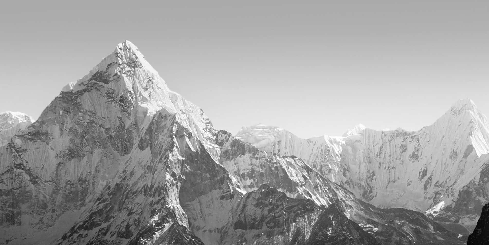 EdD与教育学博士学位