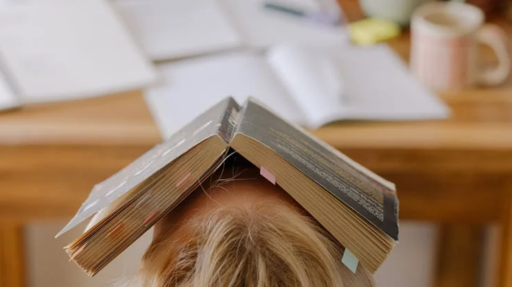 工商管理博士DBA和博士PHD学位