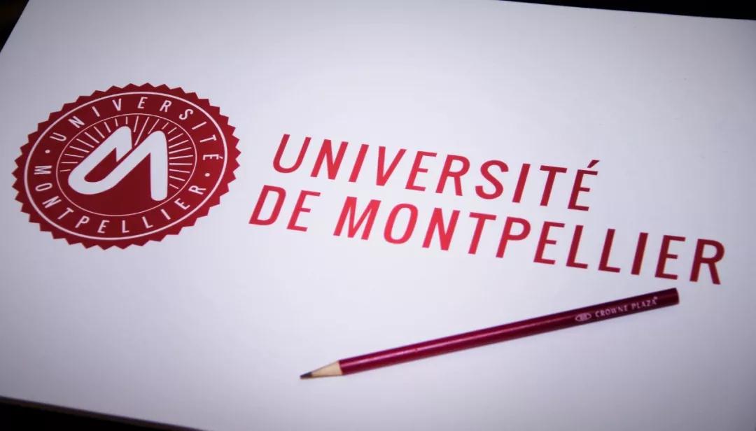 蒙彼利埃大学工商管理在职博士面试通知