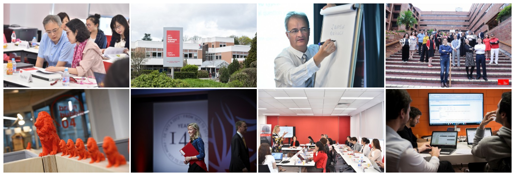 法国里昂商学院工商管理博士学位项目介绍