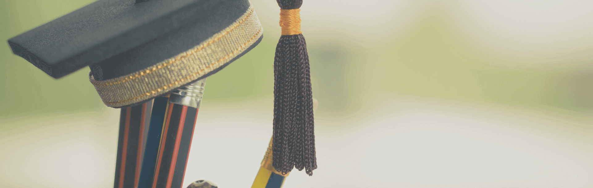 亚洲城市大学工商管理在职博士