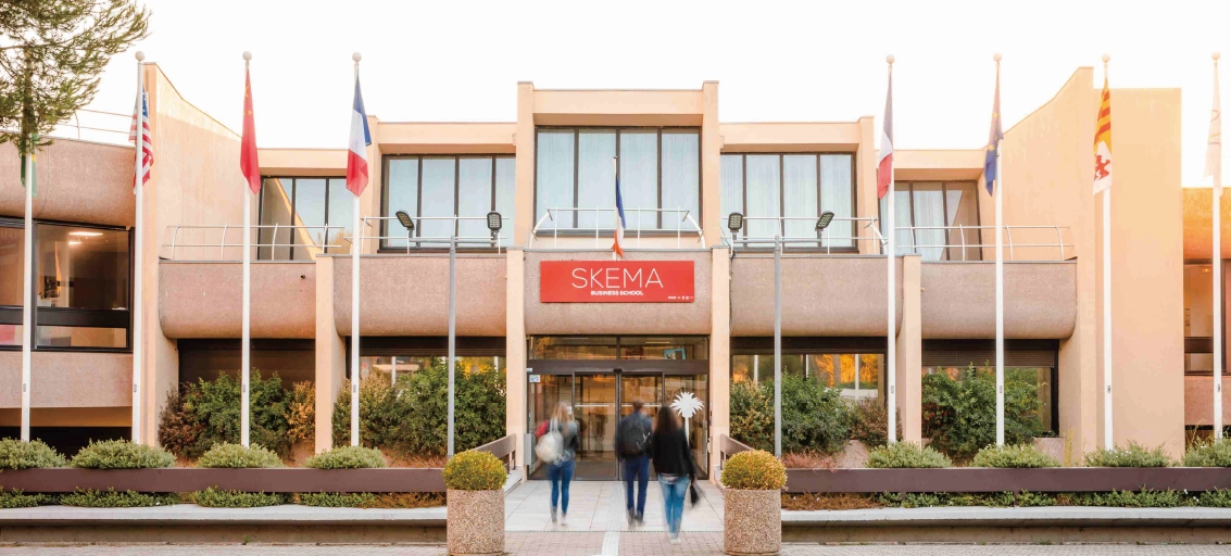 SKEMA.png