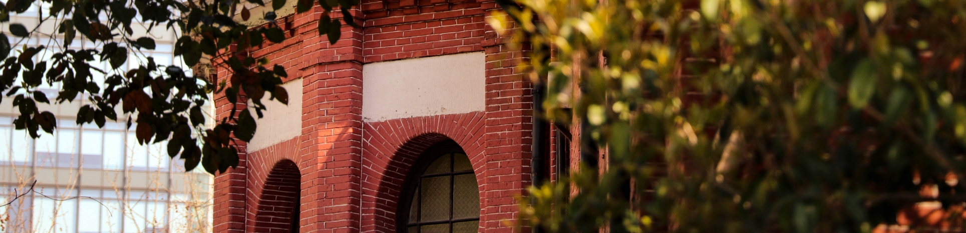 list_banner.jpg 上海理工大学 4+0(中外合作办学)国际本科 招生简章