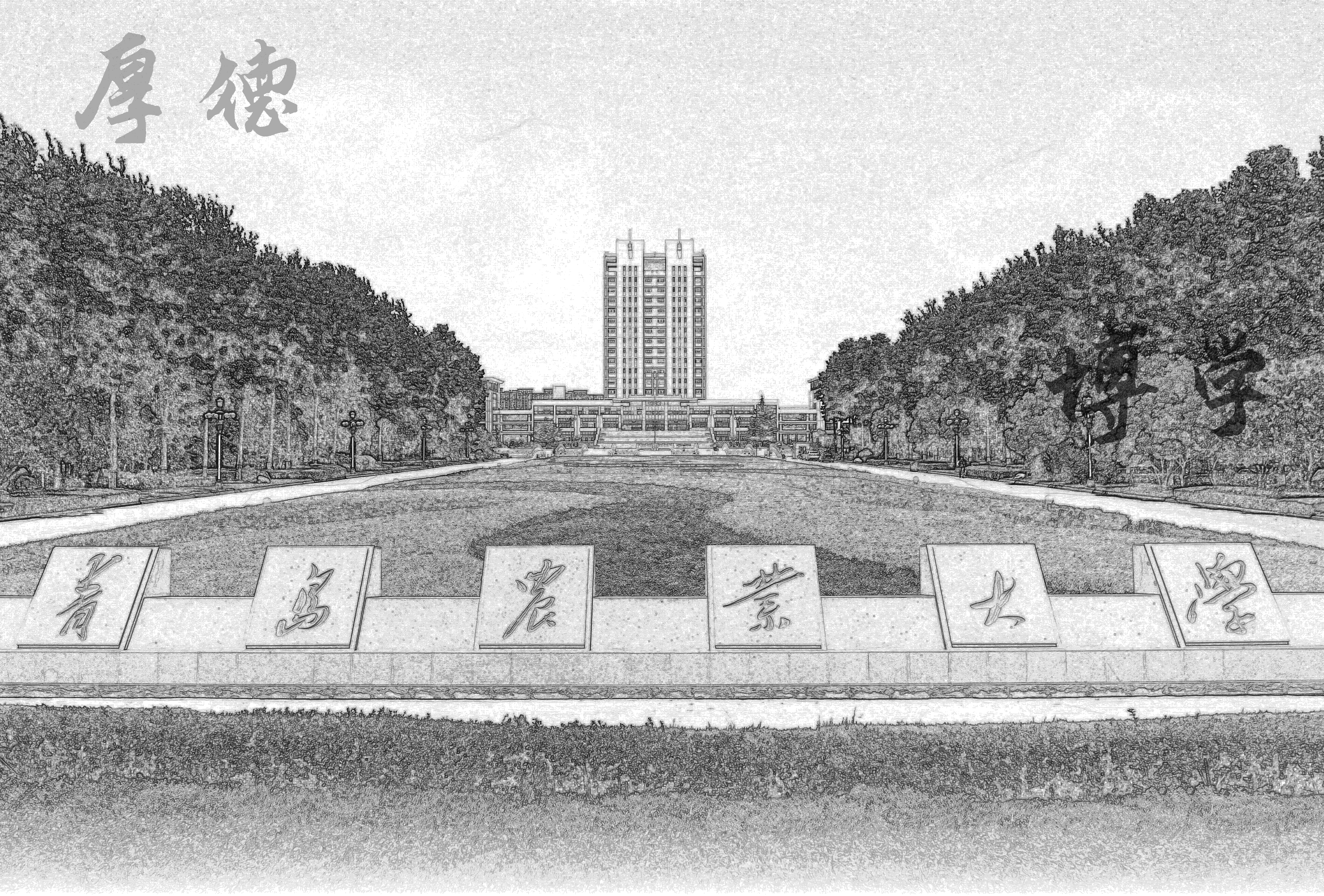 对外经济贸易大学