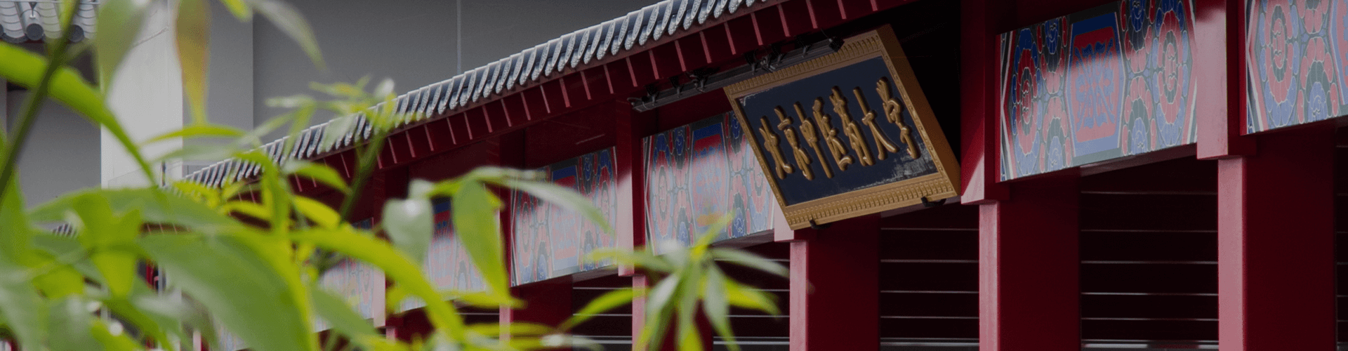 北京中医药大学-美国史蒂文斯理工学院 | 中外合作办学硕士 | 医疗健康领导力与管理  招生简章（2026）