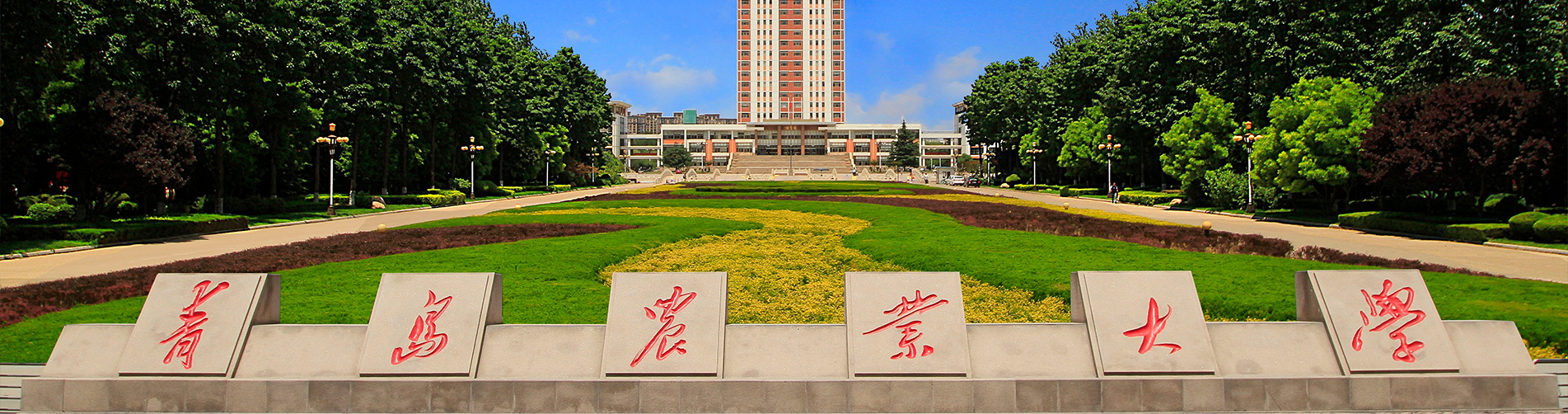 青岛农业大学-英国皇家农业大学 | 中外合作办学硕士 | 招生简章（2026）
