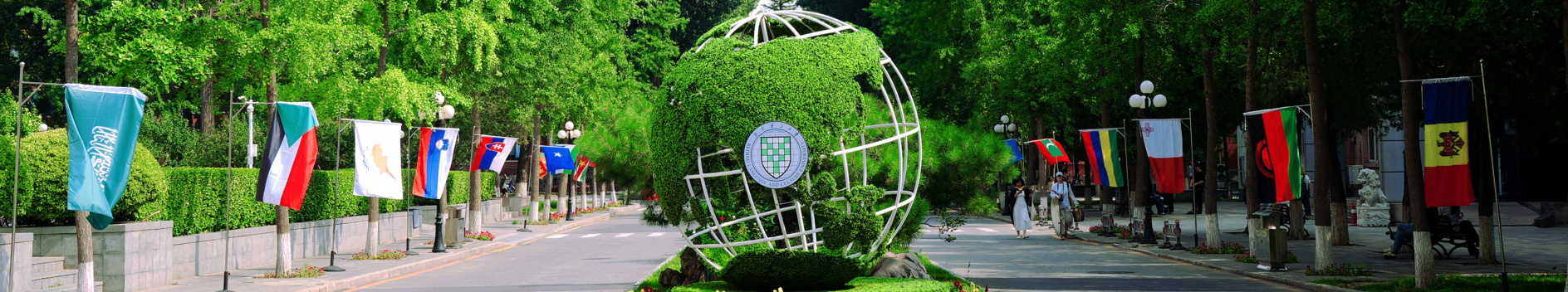beiyumba1 北京语言大学-美国东北州立大学 | 中外合作办学硕士 | 健康与医疗事业管理 2026