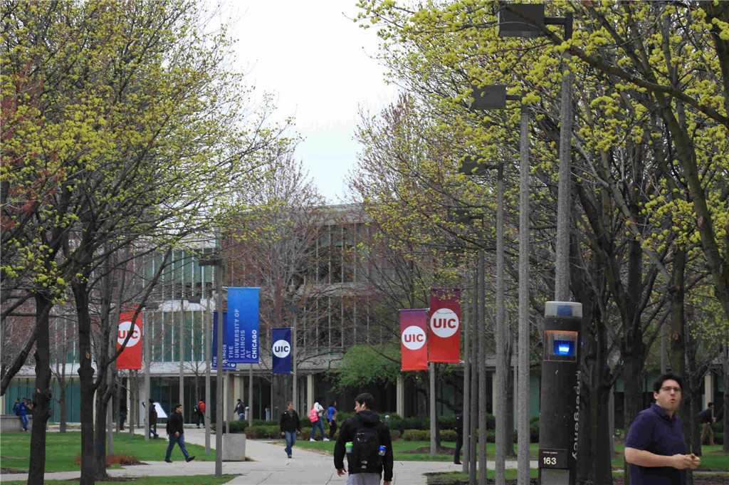 伊利诺伊大学芝加哥分校-校园